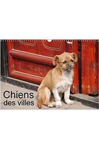 Chiens Des Villes 2018