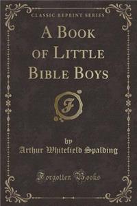 A Book of Little Bible Boys (Classic Reprint)