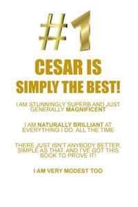 CESAR IS SIMPLY THE BEST AFFIRMATIONS WORKBOOK Positive Affirmations Workbook Includes