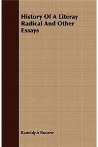 History of a Literay Radical and Other Essays