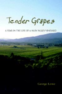 Tender Grapes