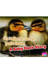 La Historia de Un Pato Bebé/A Baby Duck Story