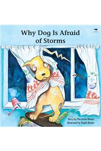 Why Dog Is Afraid of Storms