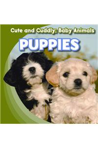 Puppies