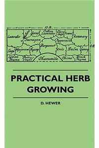 Practical Herb Growing