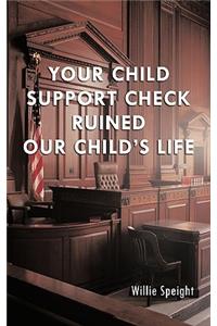 Your Child Support Check Ruined Our Child's Life