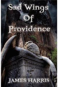 Sad Wings of Providence
