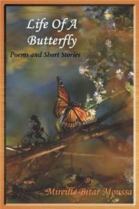 Life of a Butterfly