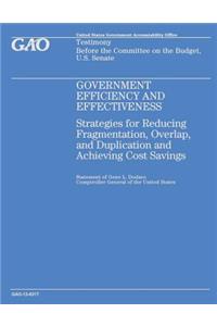 Government Efficiency and Effectiveness