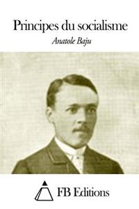 Principes du socialisme