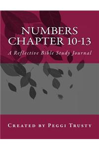 Numbers, Chapter 10-13