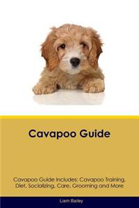 Cavapoo Guide Cavapoo Guide Includes: Cavapoo Training, Diet, Socializing, Care, Grooming, Breeding and More