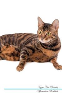Toyger Cat Affirmations Workbook Toyger Cat Presents
