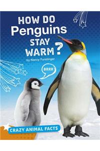 How Do Penguins Stay Warm?