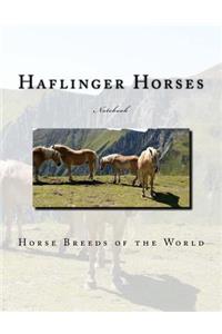 Haflinger Horses Notebook