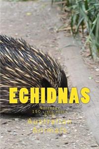 Echidnas