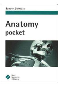 Anatomy Pocket