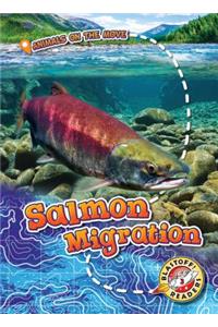 Salmon Migration