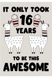It only Took 16 Years To Be This Awesome