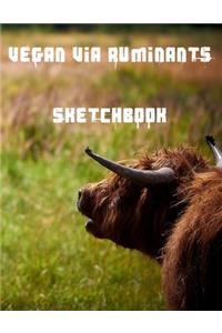 Vegan Via Ruminants Sketchbook