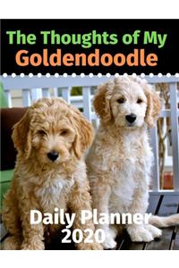 The Thoughts of My Goldendoodle