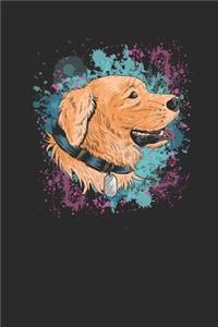 Labrador Color Splatter