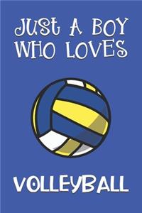 Just A Boy Who Loves Volleyball