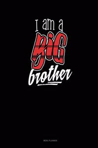 I Am A Big Brother