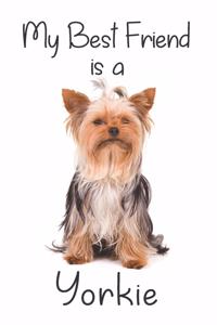 My best Friend is a Yorkie