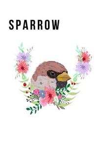 Sparrow