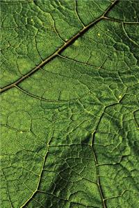 Leaf Veins Notebook