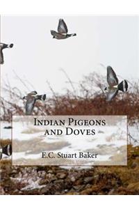 Indian Pigeons and Doves