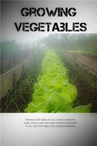 Growing Vegetables