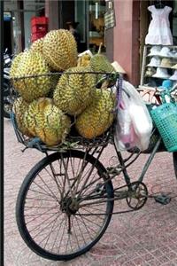 Jackfruit Tree