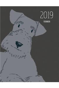 2019 Terrier