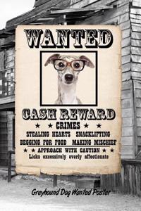 Greyhound W Glasses Dog Wanted Poster