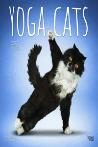 Yoga Cats 2023 Square