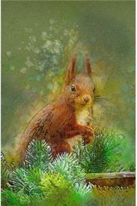 Squirrel in the Forest Notebook