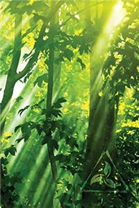Sun-Streak Leaves Notebook