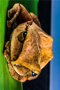 Thoughtful Tree Frog Journal