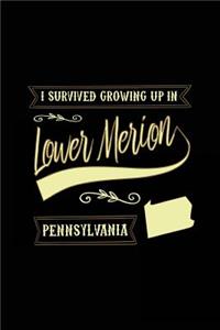 I Survived Growing Up In Lower Merion Pennsylvania
