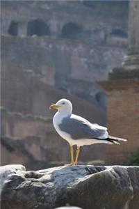 A Seagull Standing Tall in Rome, Italy Journal