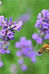 Lavender and a Bee in the Garden Journal