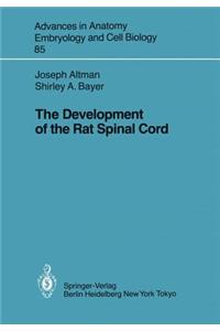 The Development of the Rat Spinal Cord