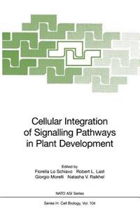 Cellular Integration of Signalling Pathways in Plant Development