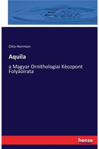 Aquila