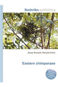 Eastern Chimpanzee