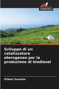 Sviluppo di un catalizzatore eterogeneo per la produzione di biodiesel