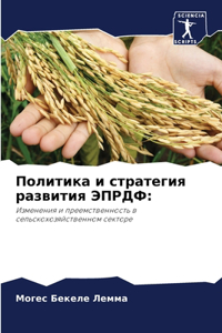 Политика и стратегия развития ЭПРДФ