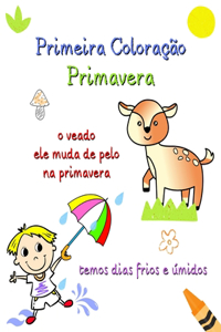 Primeira Coloração Primavera